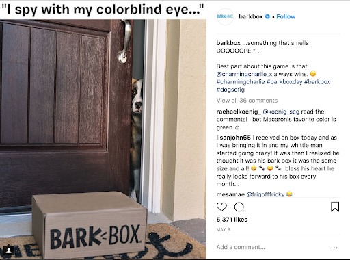 instagram marketing bark box