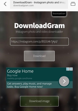 Pulsante per scaricare l'immagine da Instagram su DownloadGram