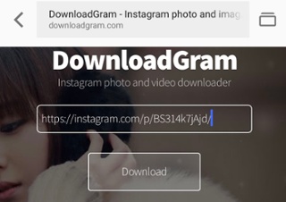 Homepage di DownloadGram con l'URL della condivisione di foto incollato nella casella di testo