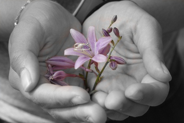 Foto Grayscaled scattata su una fotocamera mobile con blocco del colore per rivelare il fiore viola nella mano della donna "srcset =" https://blog.hubspot.com/hs-fs/hubfs/img_3845-copy.jpg?t=1541123530395&width=300&name=img_3845- copia.jpg 300w, https://blog.hubspot.com/hs-fs/hubfs/img_3845-copy.jpg?t=1541123530395&width=600&name=img_3845-copy.jpg 600w, https://blog.hubspot.com/ hs-fs / hubfs / img_3845-copy.jpg? t = 1541123530395 & width = 900 & name = img_3845-copy.jpg 900w, https://blog.hubspot.com/hs-fs/hubfs/img_3845-copy.jpg?t=1541123530395&width = 1200 & name = img_3845-copy.jpg 1200w, https://blog.hubspot.com/hs-fs/hubfs/img_3845-copy.jpg?t=1541123530395&width=1500&name=img_3845-copy.jpg 1500w, https: // blog .hubspot.com / hs-fs / hubfs / img_3845-copy.jpg? t = 1541123530395 & width = 1800 & name = img_3845-copy.jpg 1800w "sizes =" (larghezza massima: 600px) 100vw, 600px