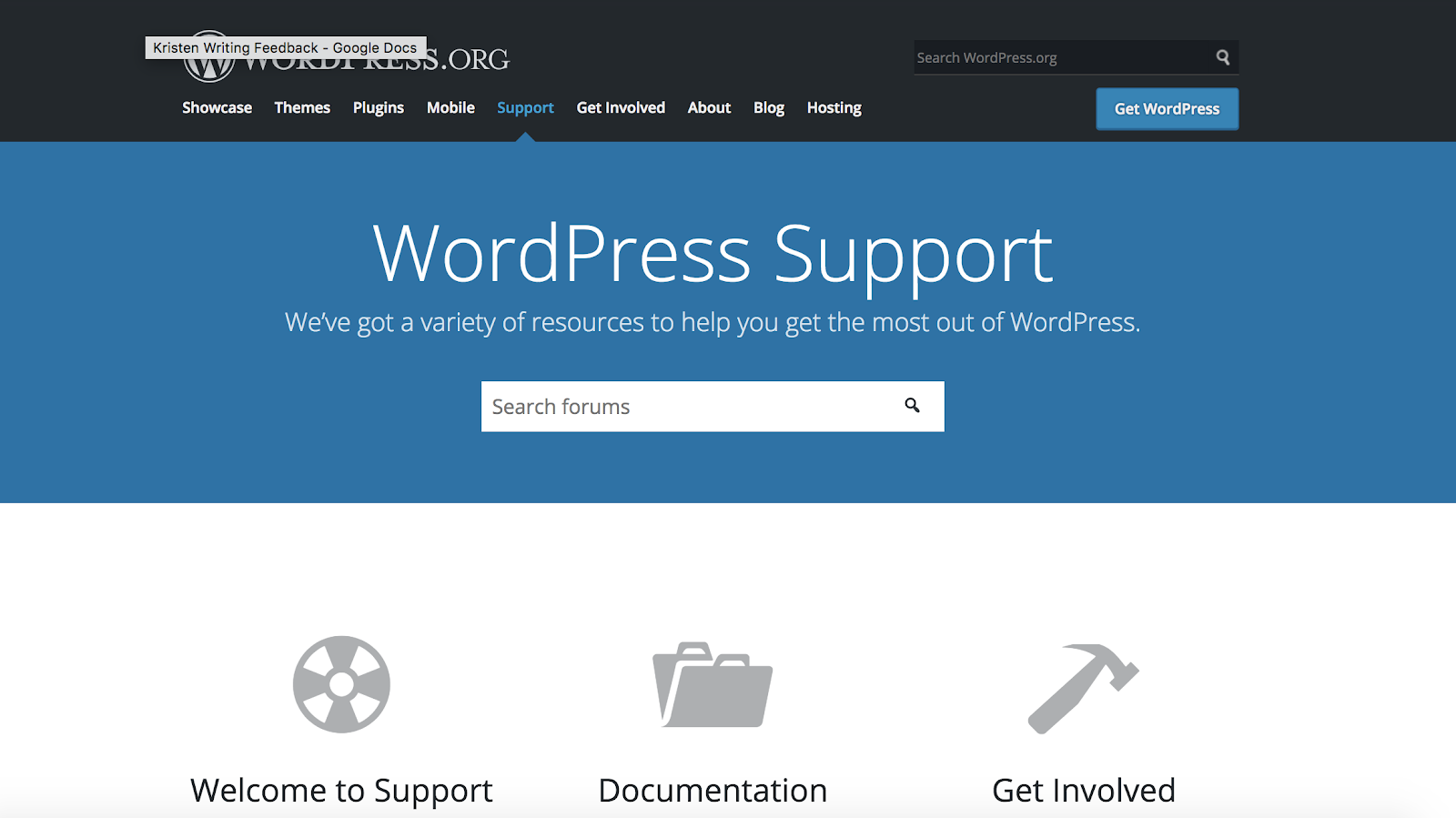 wordpress.org-support-page