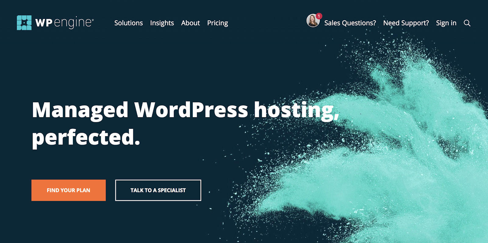 WP-motore-wordpress-hosting