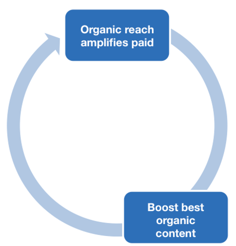 Strategia integrata organica e retribuita