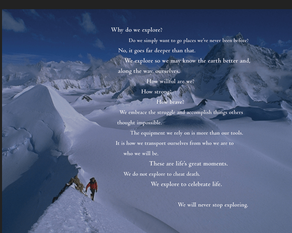 Screenshot del manifesto del marchio The North Face