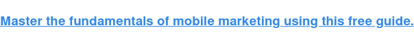 Padroneggia i fondamenti del mobile marketing utilizzando questa guida gratuita.