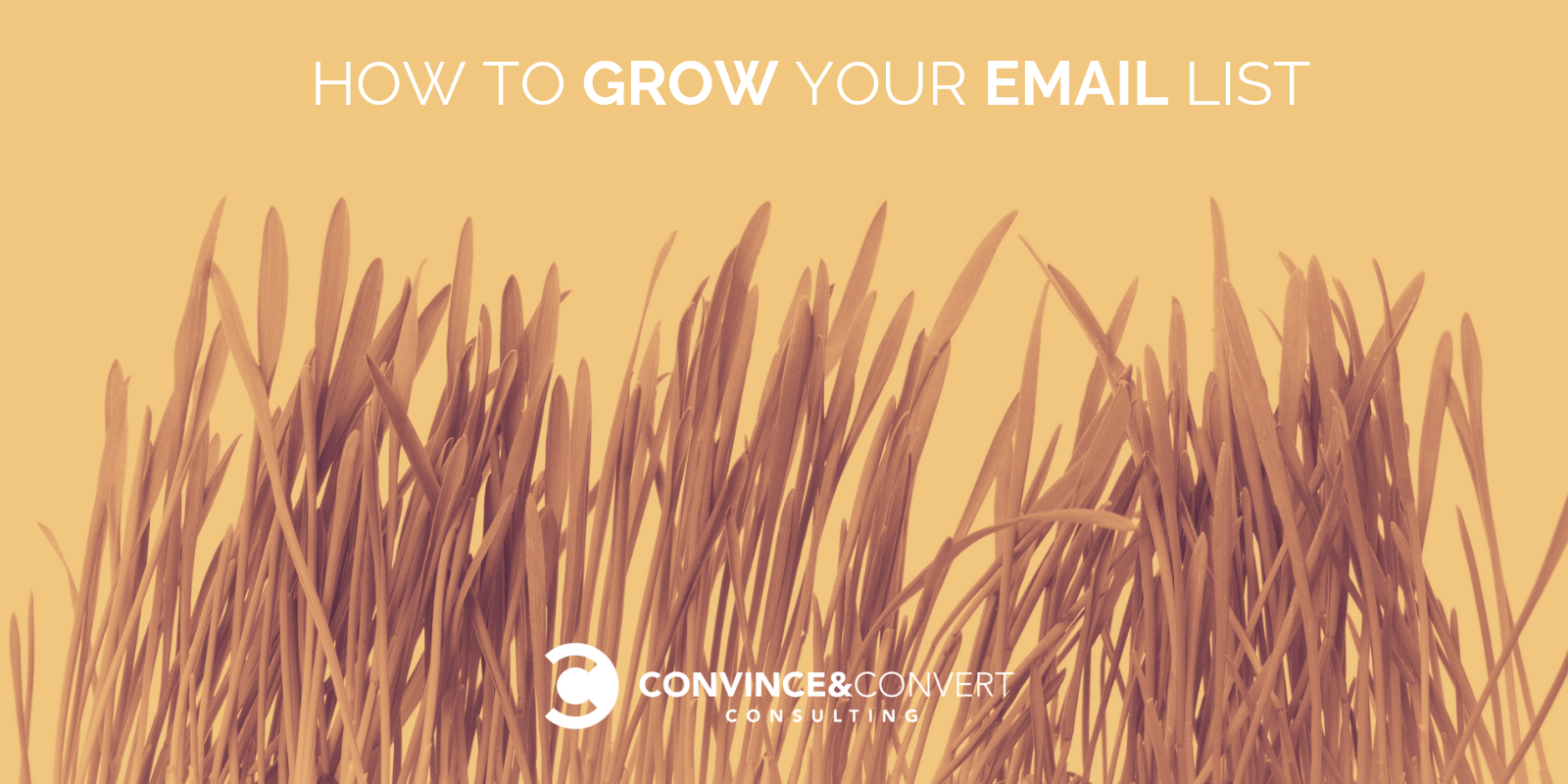 Come far crescere la tua mailing list