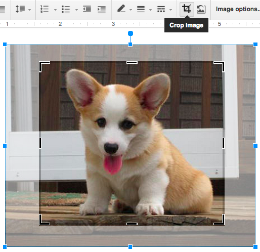 Cropping a picture of a puppy inside a Google Doc" srcset="https://blog.hubspot.com/hs-fs/hubfs/crop-image-google-doc.png?width=257&height=249&name=crop-image-google-doc.png 257w, https://blog.hubspot.com/hs-fs/hubfs/crop-image-google-doc.png?width=514&height=498&name=crop-image-google-doc.png 514w, https://blog.hubspot.com/hs-fs/hubfs/crop-image-google-doc.png?width=771&height=747&name=crop-image-google-doc.png 771w, https://blog.hubspot.com/hs-fs/hubfs/crop-image-google-doc.png?width=1028&height=996&name=crop-image-google-doc.png 1028w, https://blog.hubspot.com/hs-fs/hubfs/crop-image-google-doc.png?width=1285&height=1245&name=crop-image-google-doc.png 1285w, https://blog.hubspot.com/hs-fs/hubfs/crop-image-google-doc.png?width=1542&height=1494&name=crop-image-google-doc.png 1542w" sizes="(max-width: 514px) 100vw, 514px