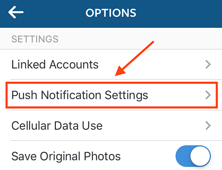 instagram-push-notification-settings.png "title =" instagram-push-notification-settings.png "larghezza =" 450 "dati vincolati =" vero "stile =" larghezza: 450px; "srcset =" https: // blog.hubspot.com/hs-fs/hubfs/instagram-push-notification-settings.png?width=225&name=instagram-push-notification-settings.png 225w, https://blog.hubspot.com/hs-fs /hubfs/instagram-push-notification-settings.png?width=450&name=instagram-push-notification-settings.png 450w, https://blog.hubspot.com/hs-fs/hubfs/instagram-push-notification- settings.png? width = 675 & name = instagram-push-notification-settings.png 675w, https://blog.hubspot.com/hs-fs/hubfs/instagram-push-notification-settings.png?width=900&name=instagram -push-notification-settings.png 900w, https://blog.hubspot.com/hs-fs/hubfs/instagram-push-notification-settings.png?width=1125&name=instagram-push-notification-settings.png 1125w , https://blog.hubspot.com/hs-fs/hubfs/instagram-push-notification-settings.png?width=1350&name=instagram-push-notification-settings.png 1350w " dimensioni = "(larghezza massima: 450 px) 100 Vw, 450 px
