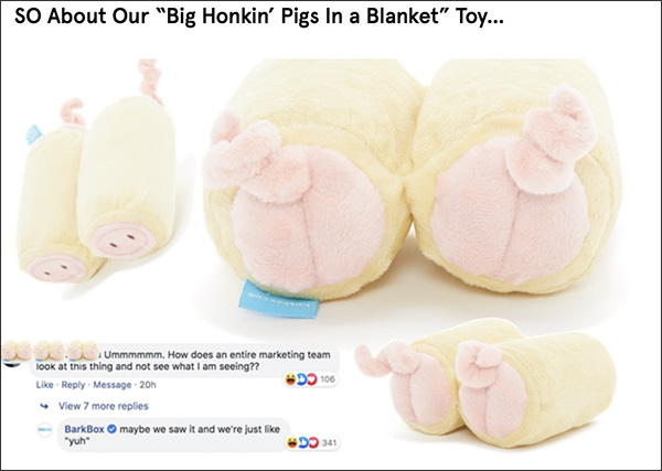 I maiali di Big Honkin di BarkBox in un giocattolo di coperta