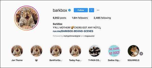 La pagina Instagram di BarkBox è stata rilevata dagli scoiattoli