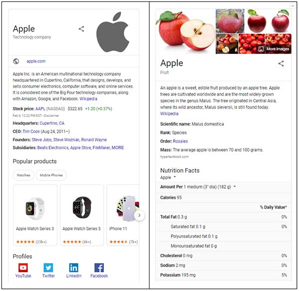 Risultati dei motori di ricerca per Apple Tech Company e Apple Fruit