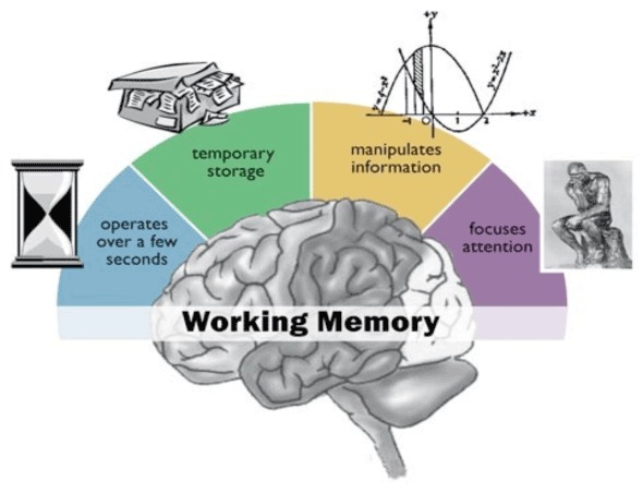diagramma di memoria di lavoro.