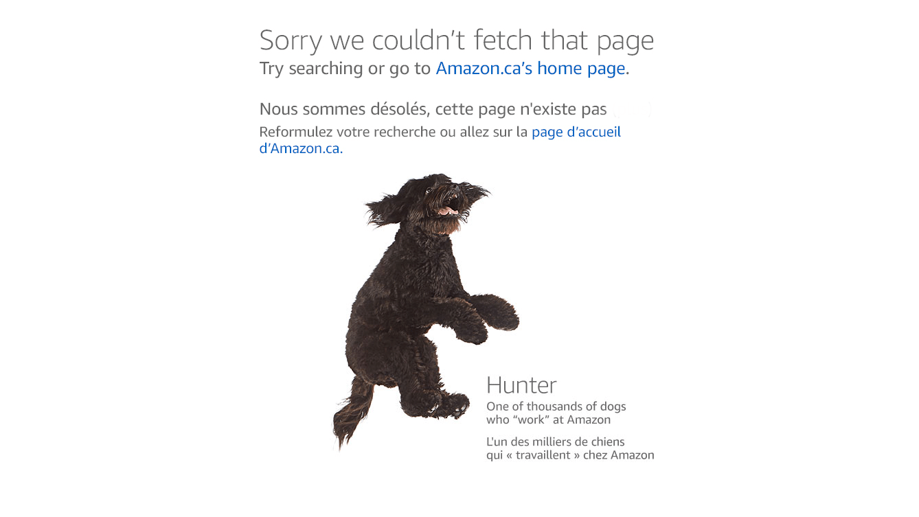 La pagina 404 di Amazon mostra un simpatico cane che salta in aria e lo etichetta come uno dei migliaia di cani che lavorano in Amazon. 