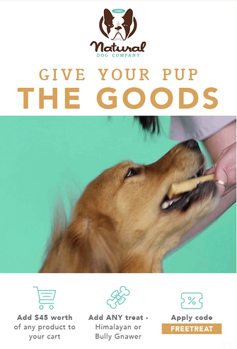 marketing di nicchia dell'azienda di cani naturali